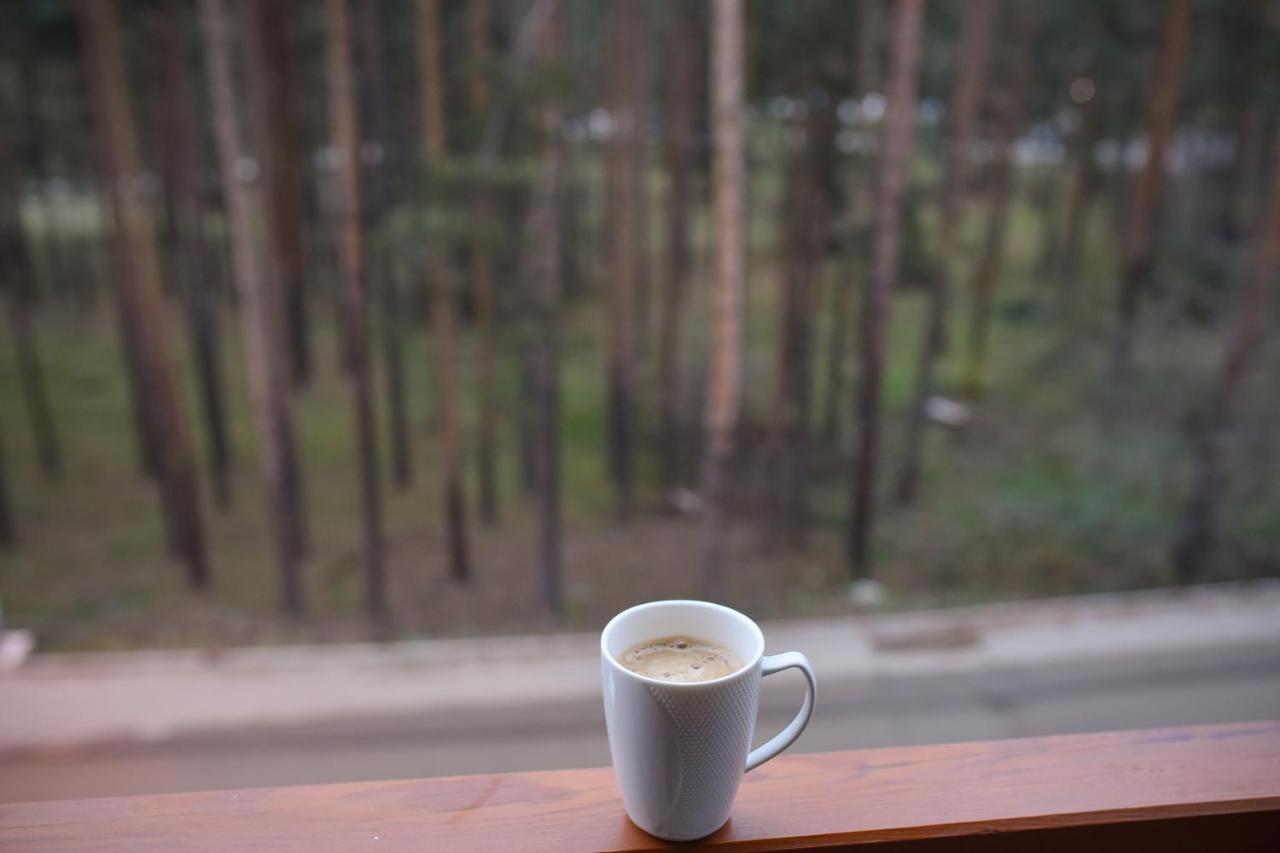 Apartment Belle Vie Zlatibor